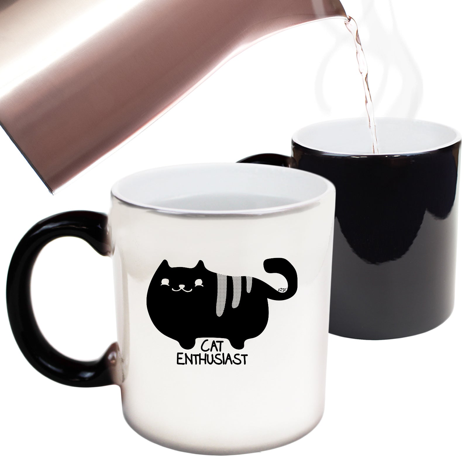 Cat Enthusiast - Funny Colour Changing Mug