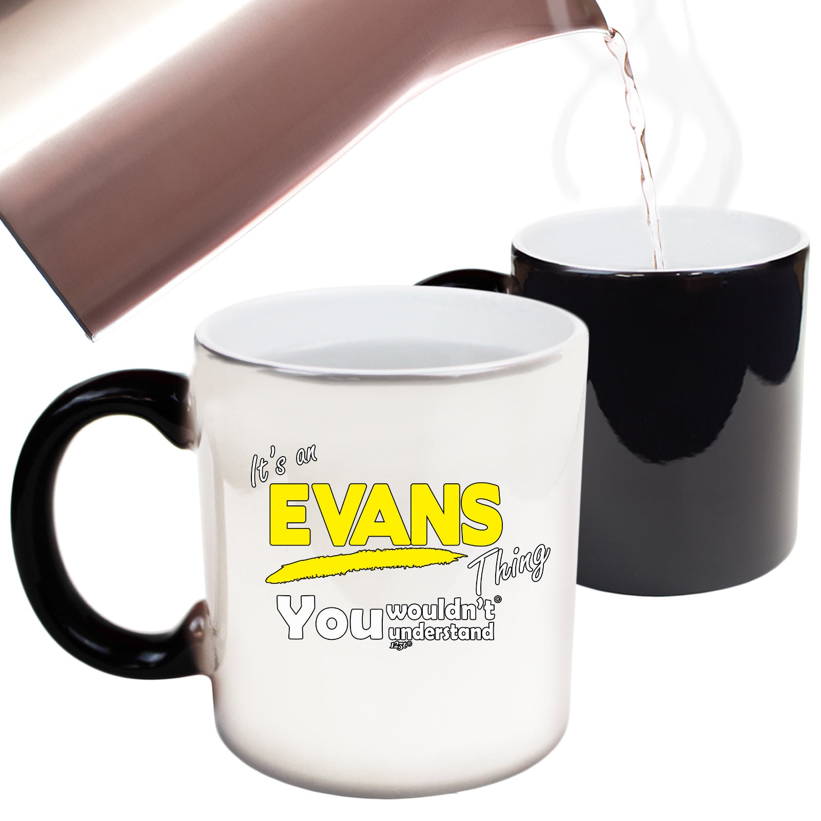 Evans V1 Surname Thing - Funny Colour Changing Mug