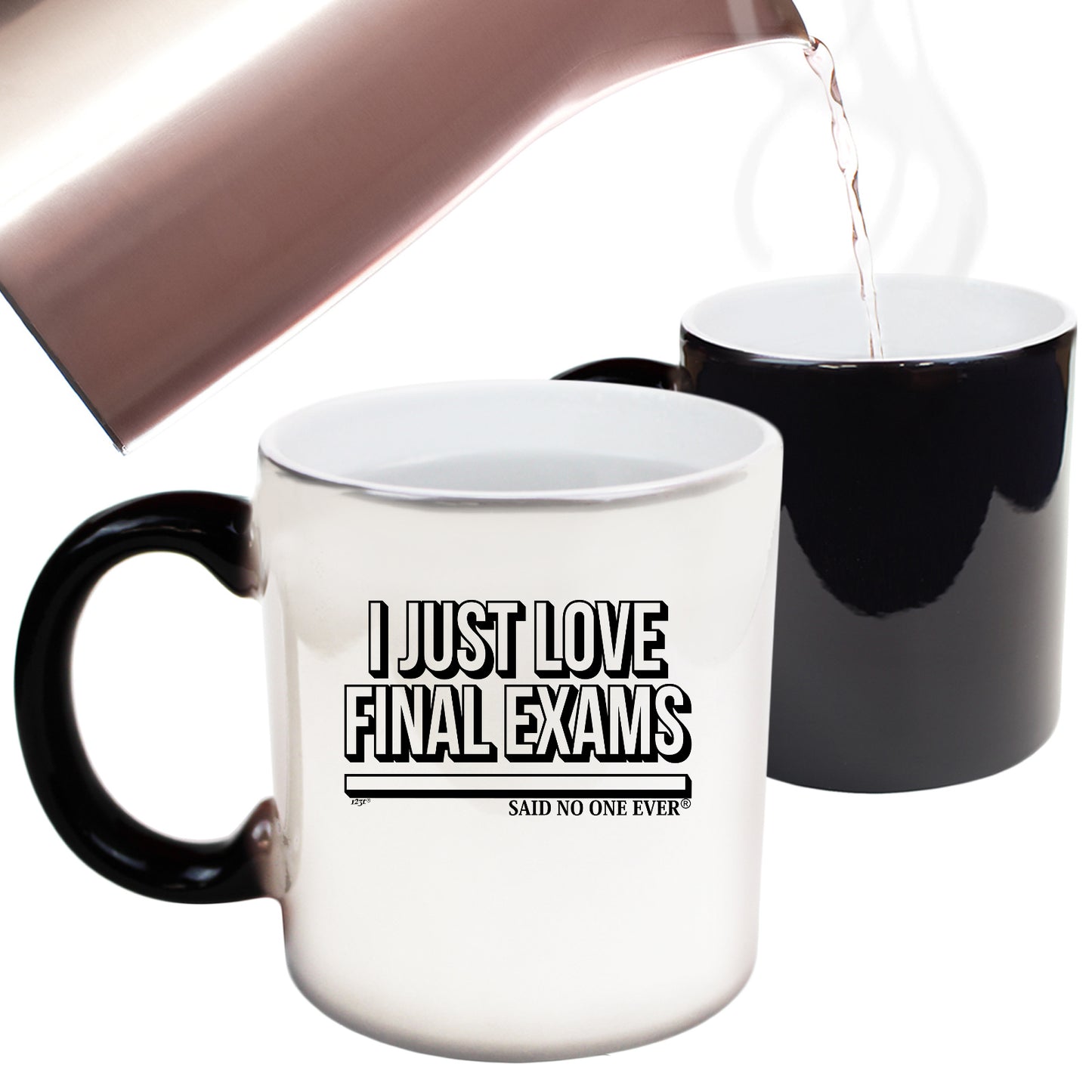 Dont Just Love Final Exams Snoe - Funny Colour Changing Mug