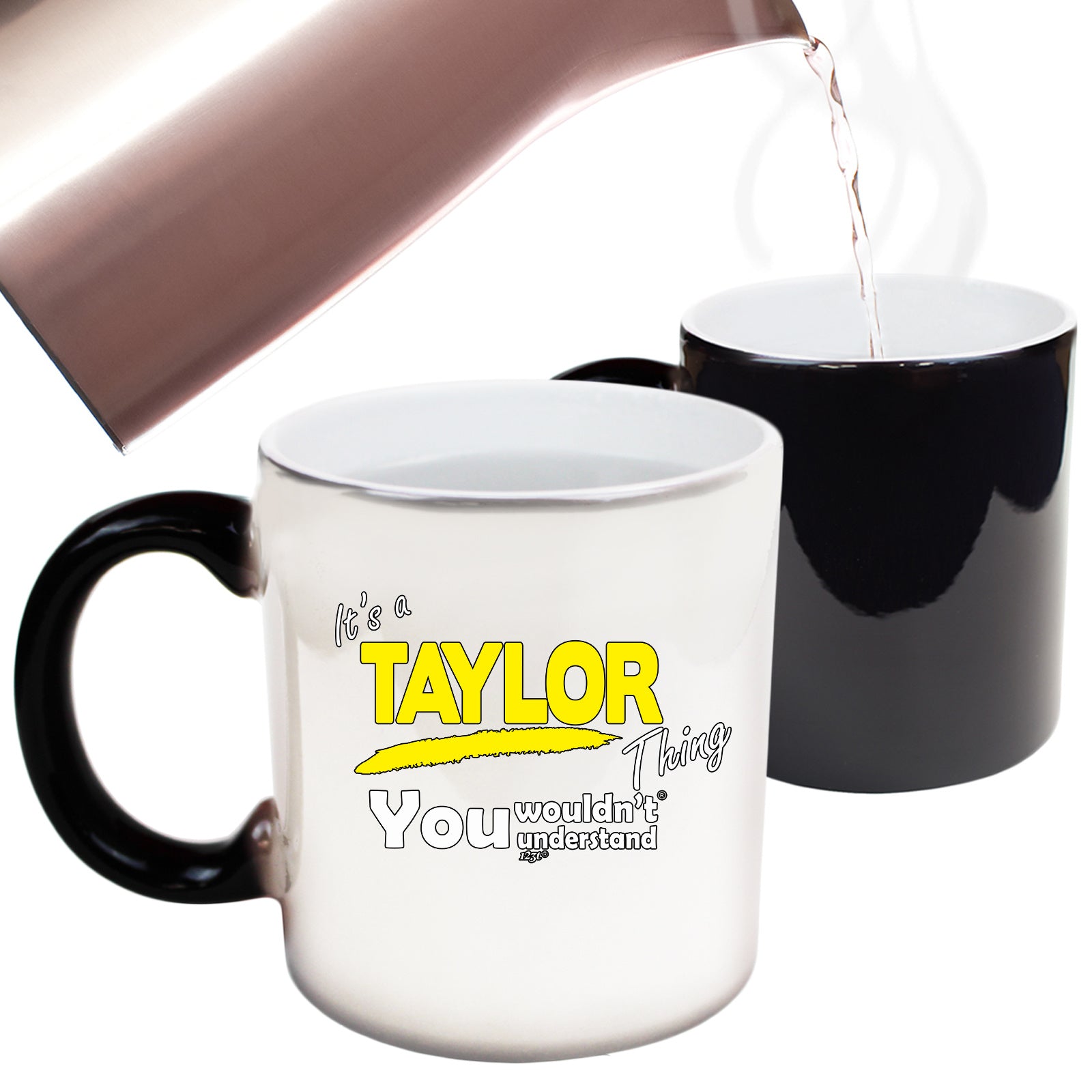 Taylor V1 Surname Thing - Funny Colour Changing Mug