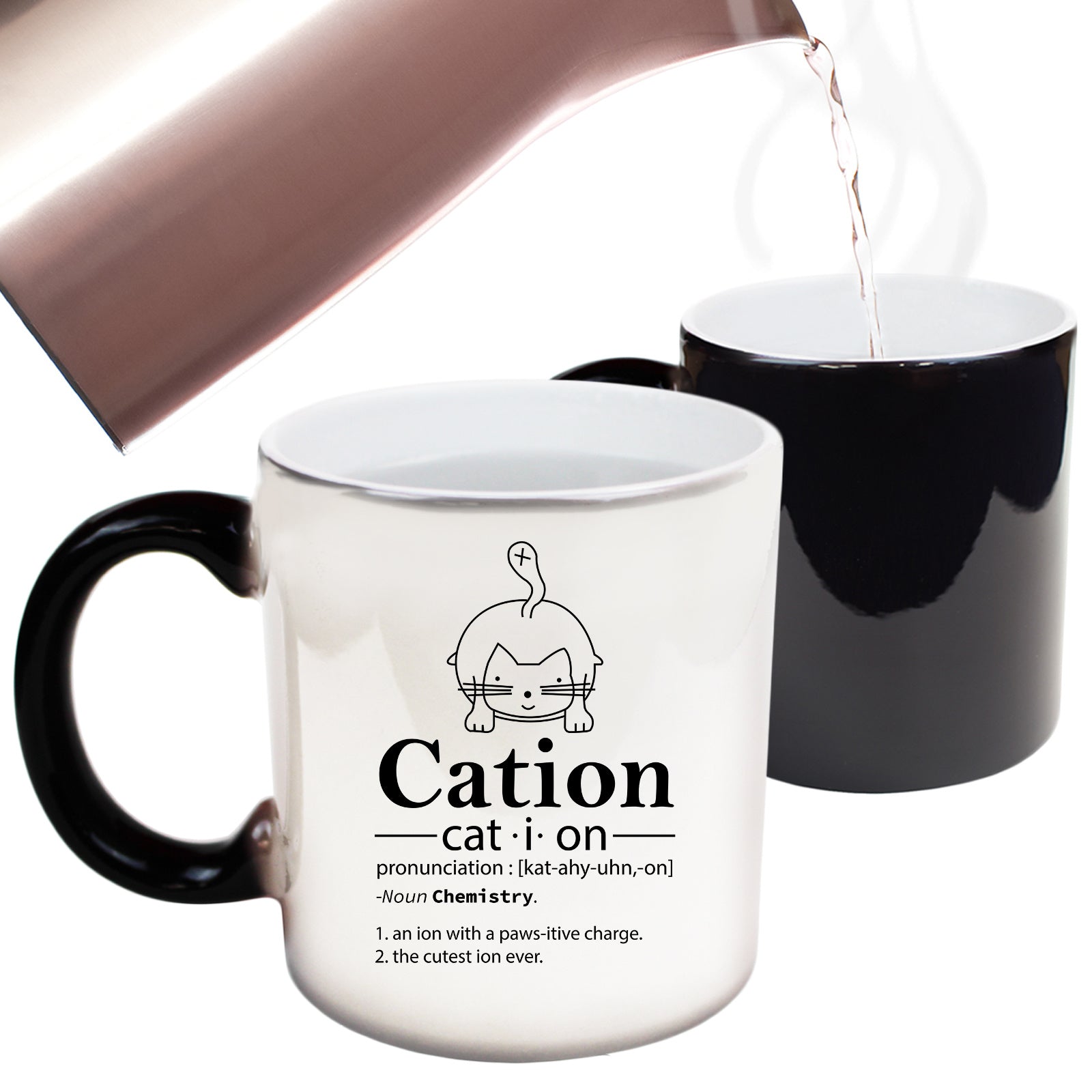 Cation Cat Noun Pronunciation - Funny Colour Changing Mug