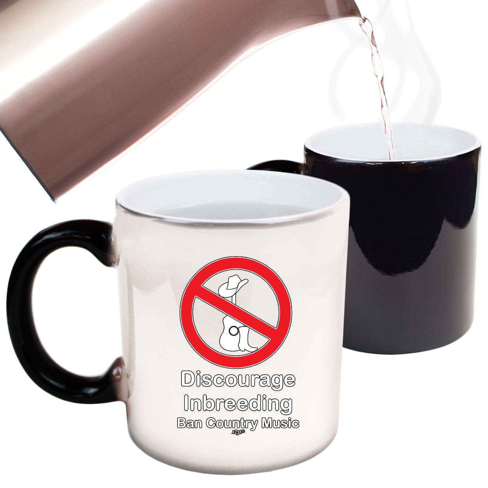 Discourage Inbreeding Ban Country Music - Funny Colour Changing Mug