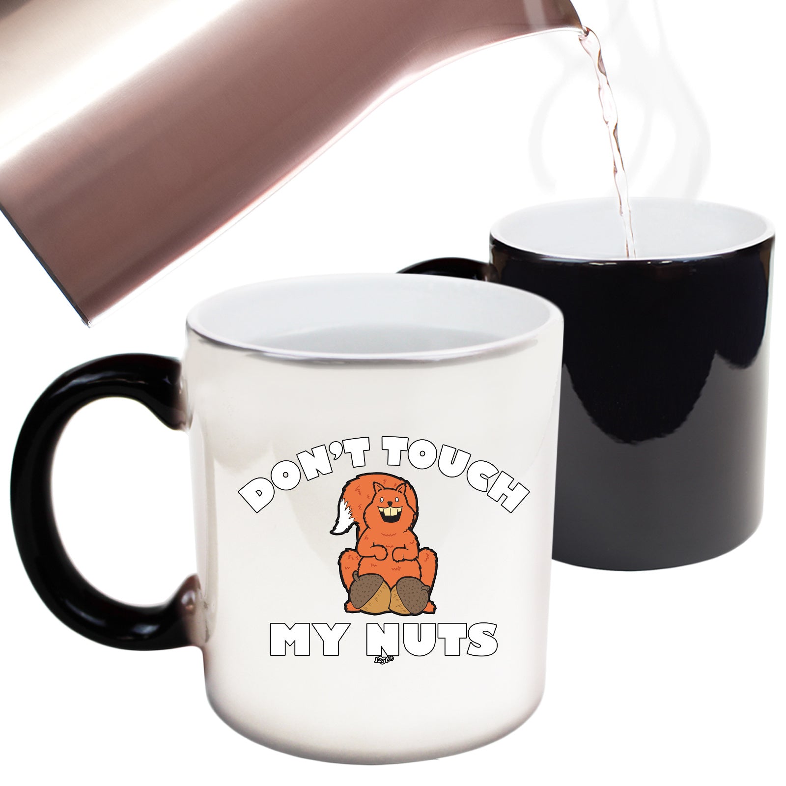 Dont Touch My Nuts Squirrel - Funny Colour Changing Mug