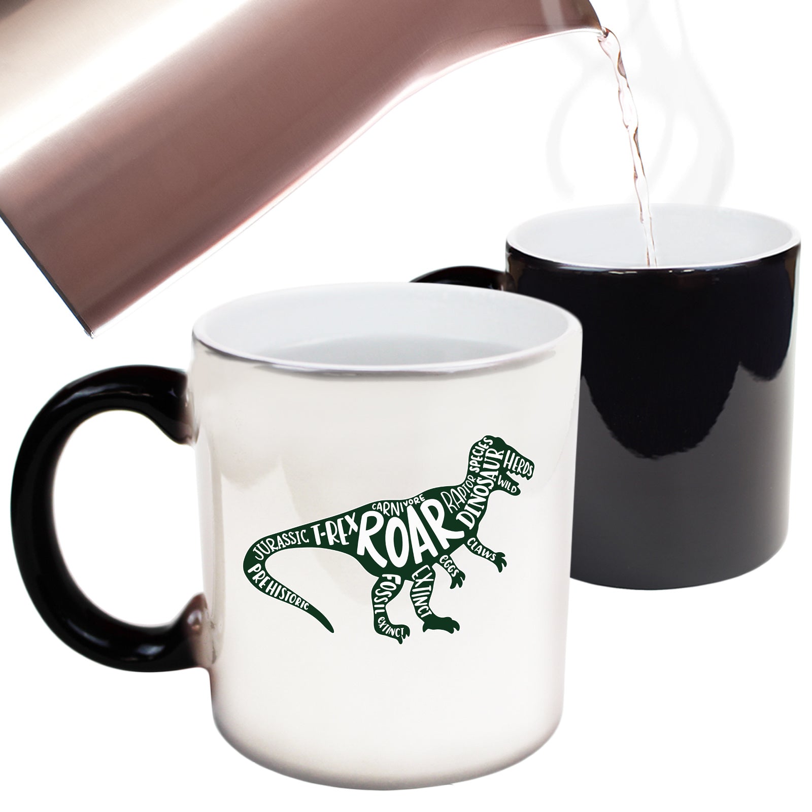 Roar Dinosaur T Rex Words Dino - Funny Colour Changing Mug