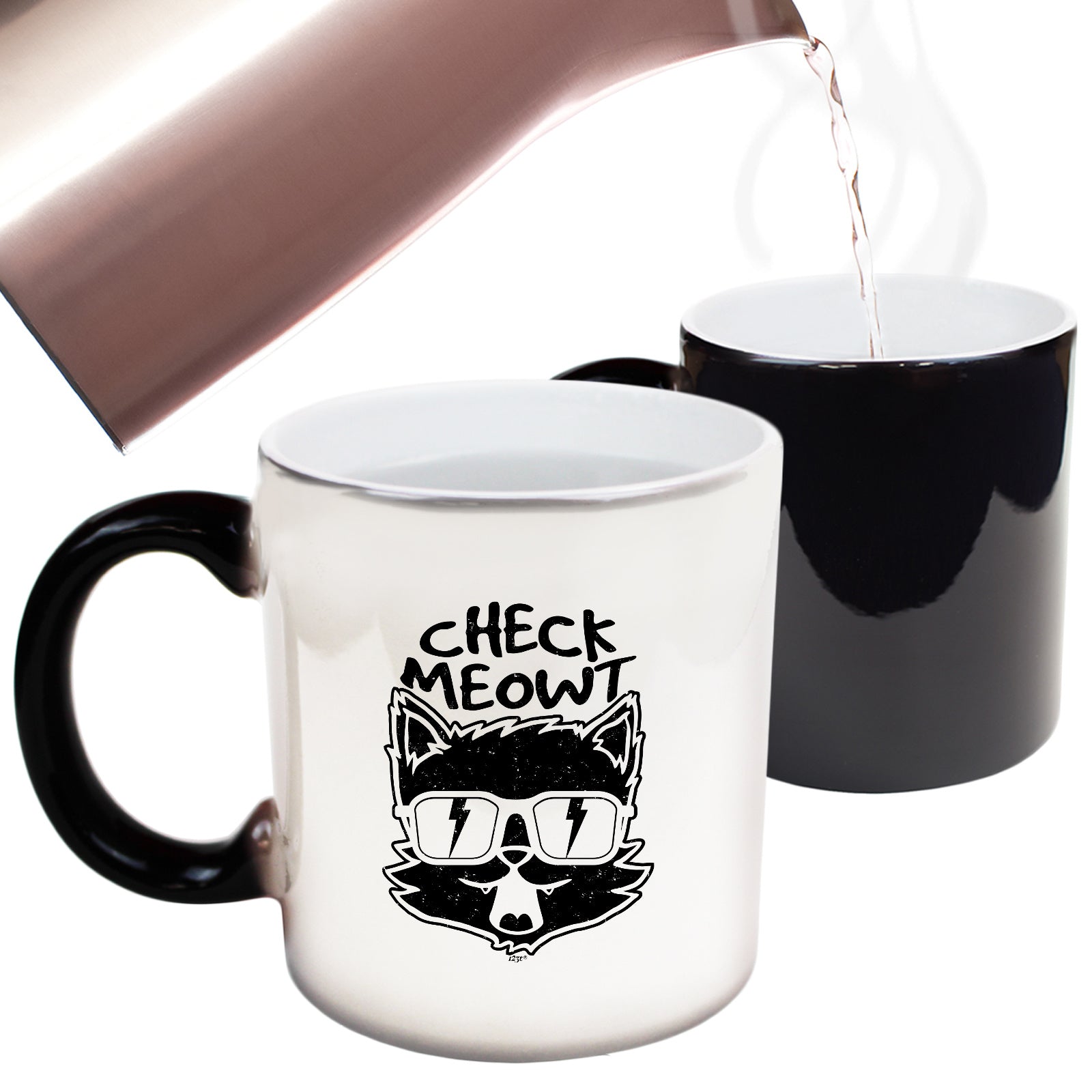 Check Meowt Cat - Funny Colour Changing Mug