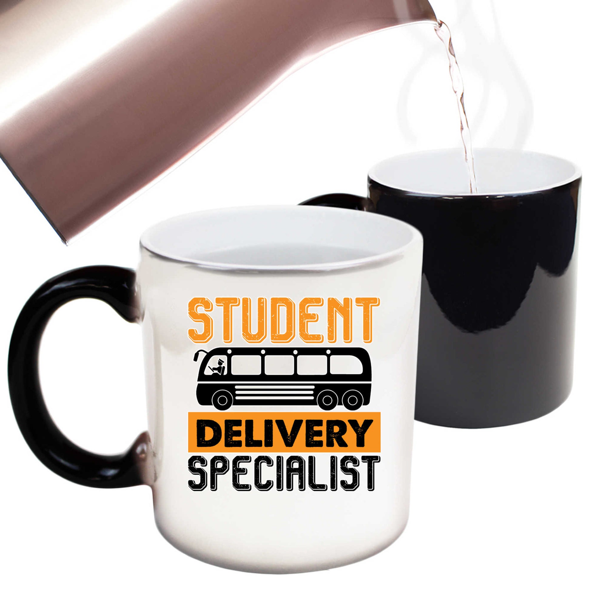 Student Delivery Specialist V2 Dus Driver - Funny Colour Changing Mug