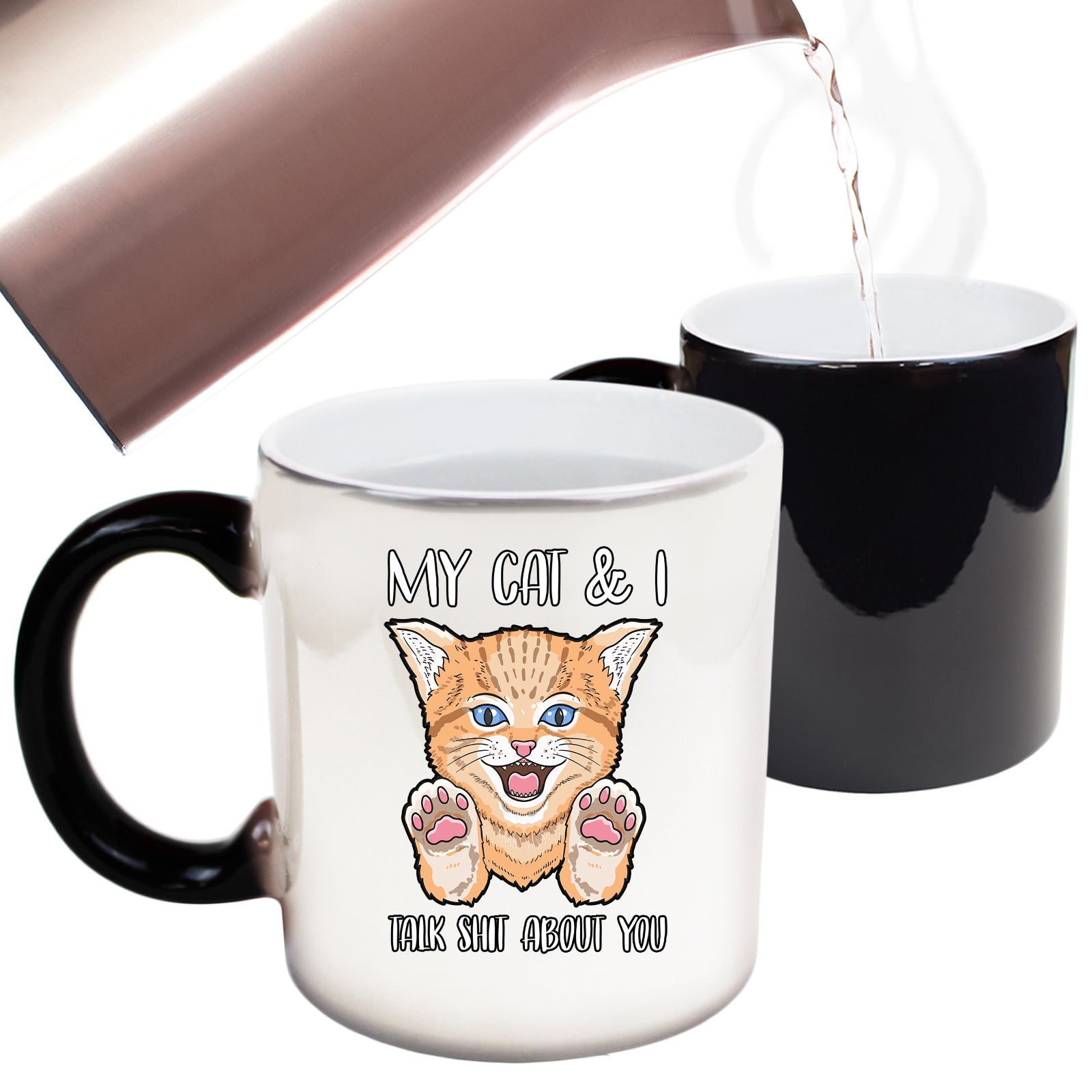 My Cat And I Talk About You Kitten Pussy Cats - Funny Colour Changing Mug