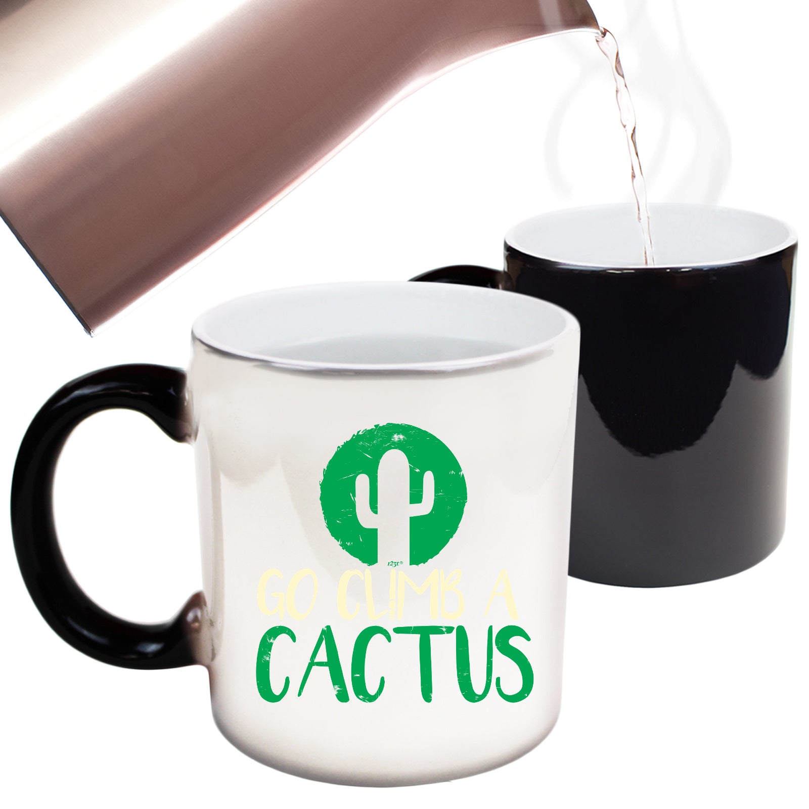 Go Climb A Cactus - Funny Colour Changing Mug