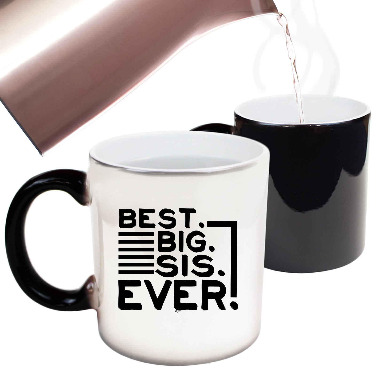 Best Big Sis Ever Sister - Funny Colour Changing Mug