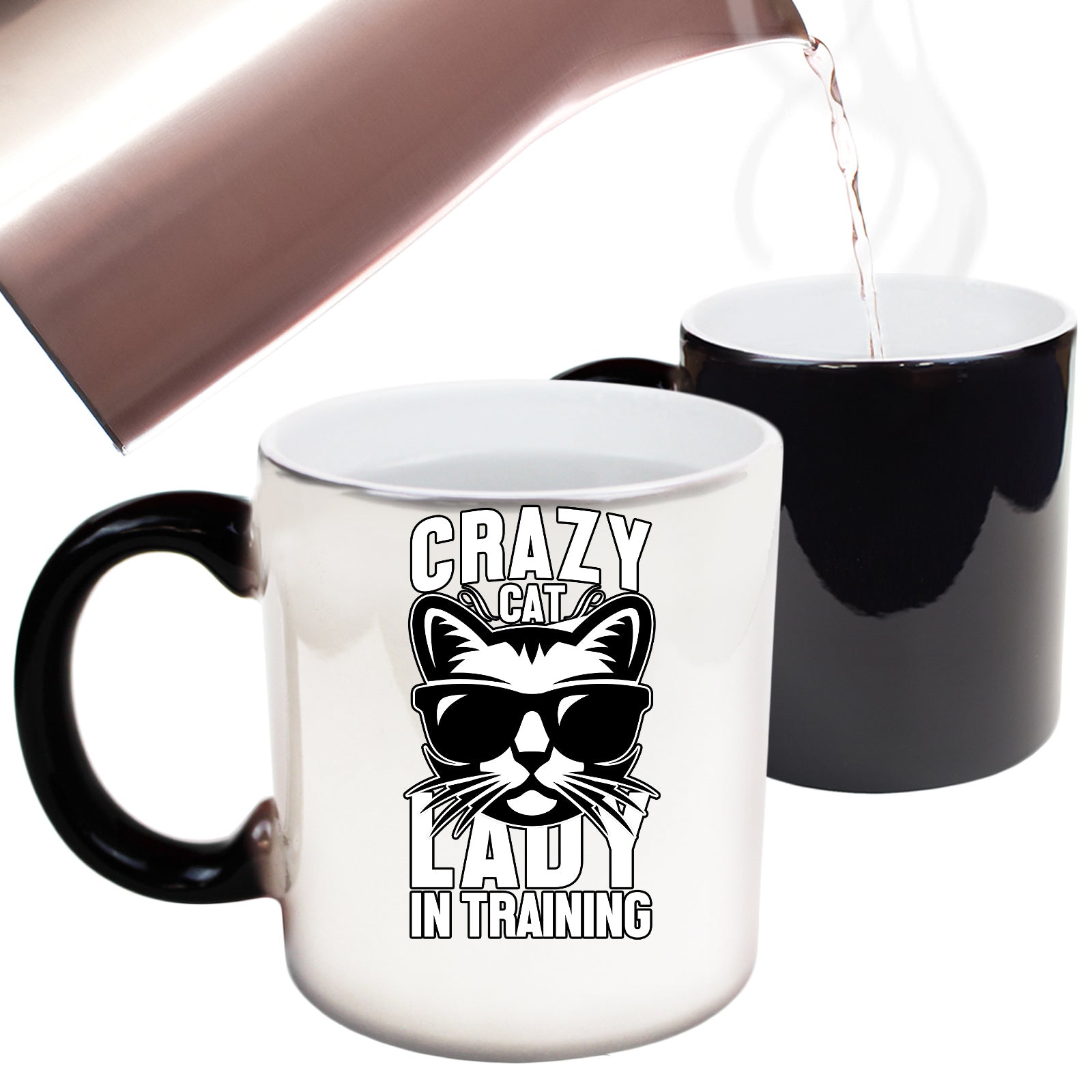 Crazy Cat Lady In Training - Funny Colour Changing Mug