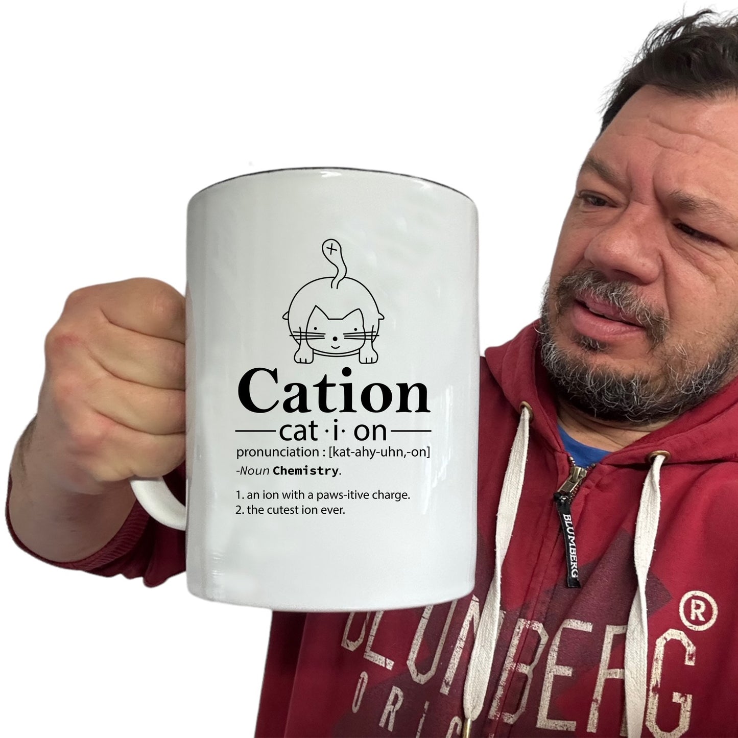 Cation Cat Noun Pronunciation - Funny Giant 2 Litre Mug