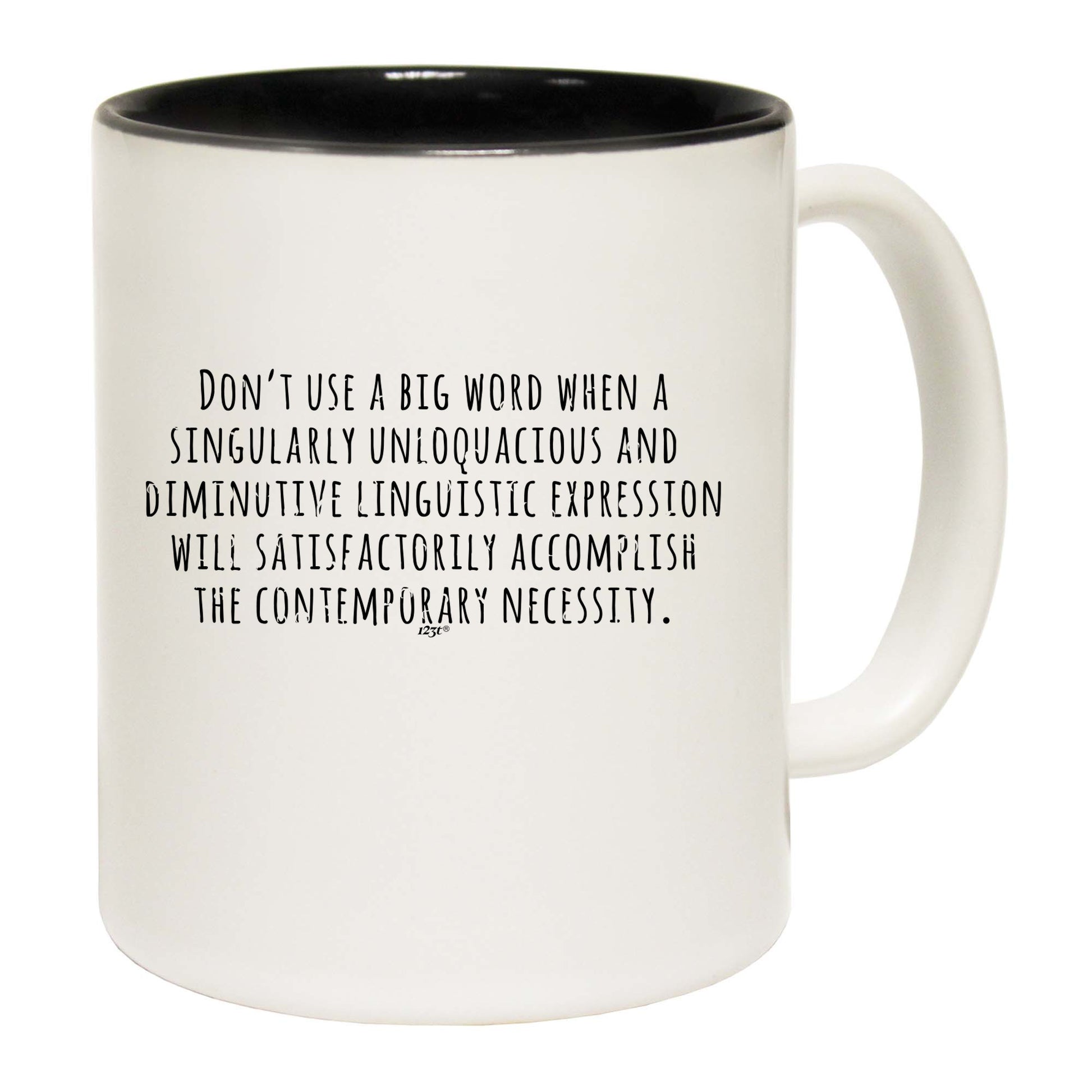 Dont Use Big Words - Funny Coffee Mug