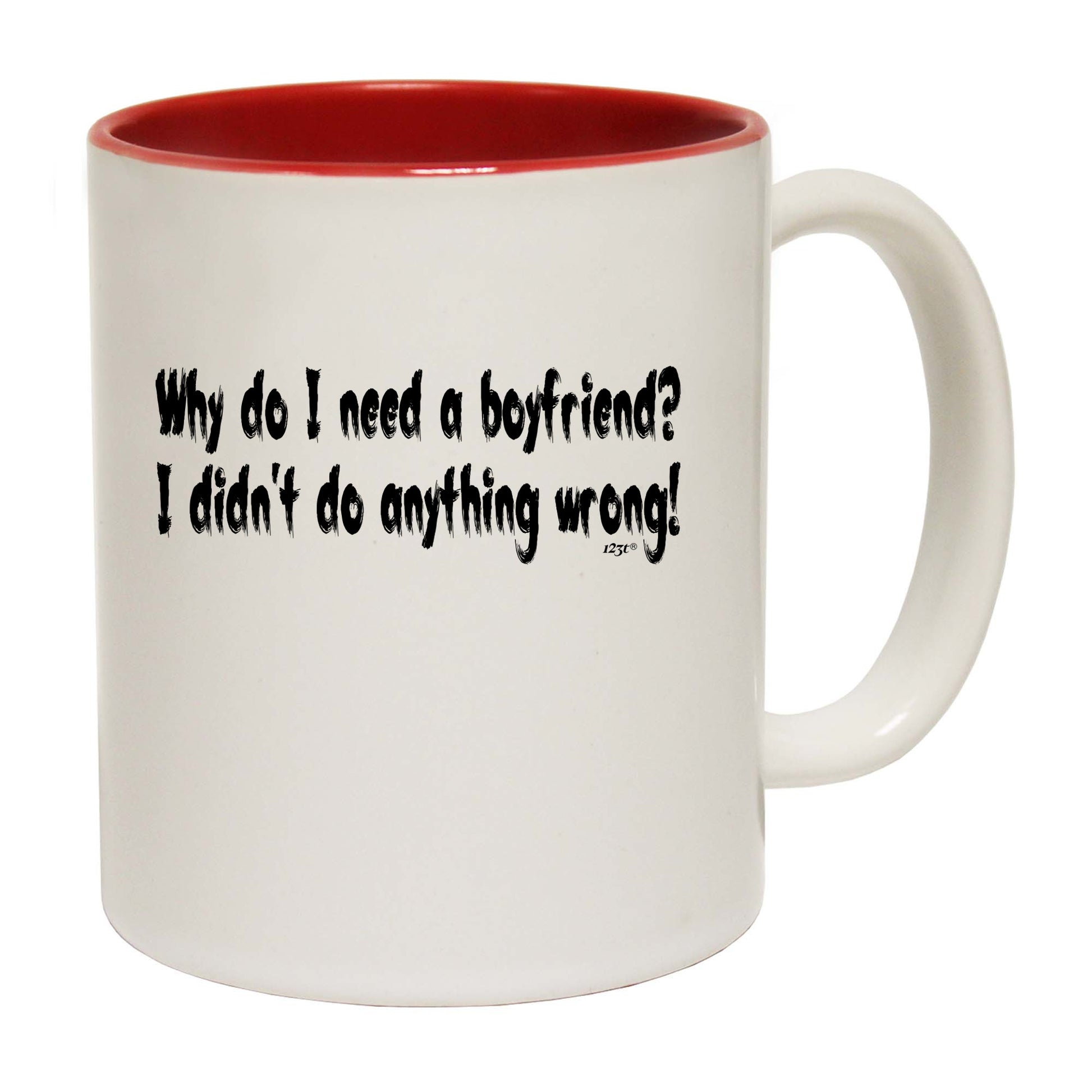 Why Do Need A Boyfriend - Funny Coffee Mug